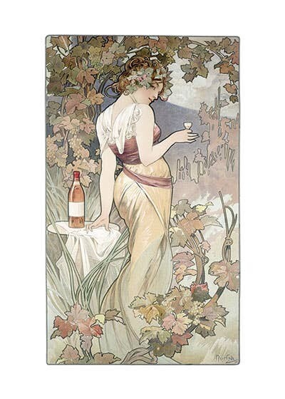 Lady With Pink Wine