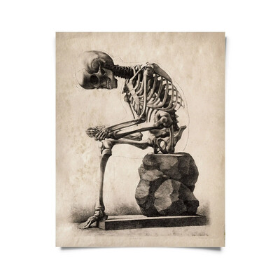 Vintage Anatomy Sitting Skeleton Print w/ optional frame - 8x10 / Print Only