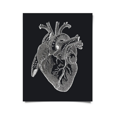 Vintage Anatomy Heart Diagram Black Print 8x10