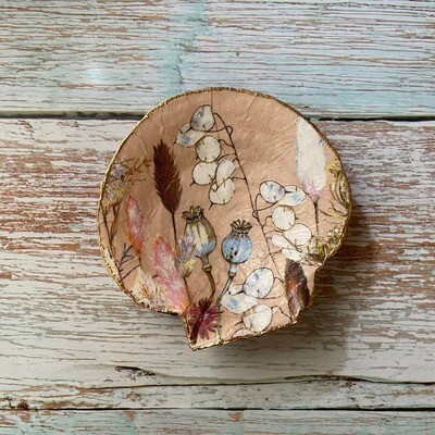 Serenity Shells