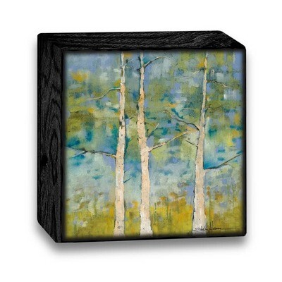 Illustrated Light