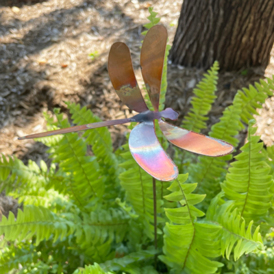 Medium Copper  Dragonfly