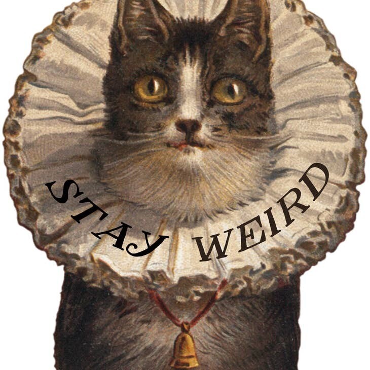 Stay Weird Kitty Sticker