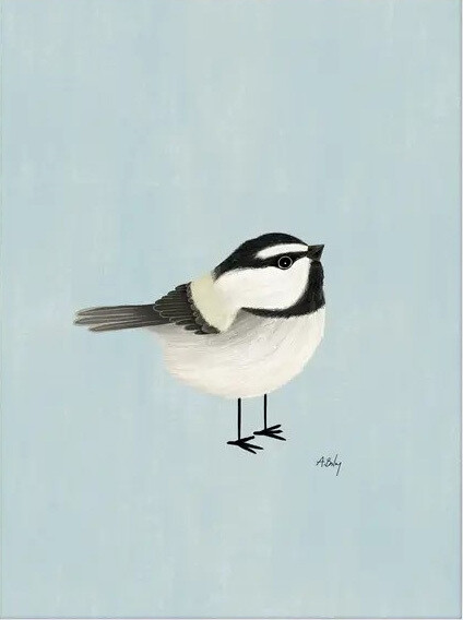 Mountain Chickadee - bird illustration Print