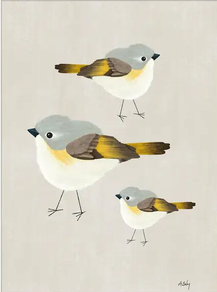 American Redstart Trio - Bird Illustration Print