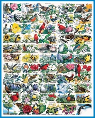 State Birds &amp; Flowers puzzle