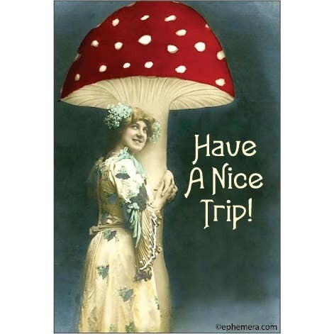Have a nice trip!  Magnet