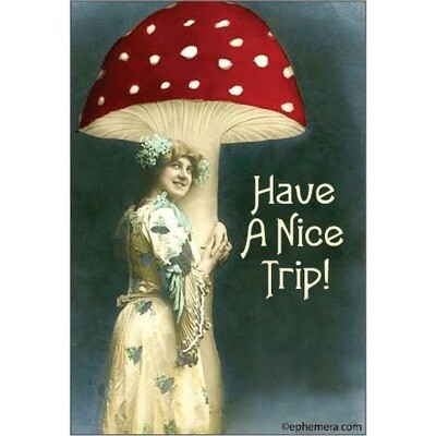 Have a nice trip!  Magnet
