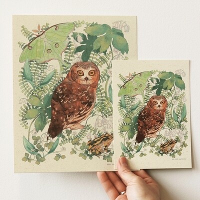 Moonlit Forest Print - Northern Saw-whet Owl - 8x10