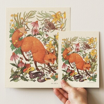 Woodland Meadow Print - Red Fox - 8x10