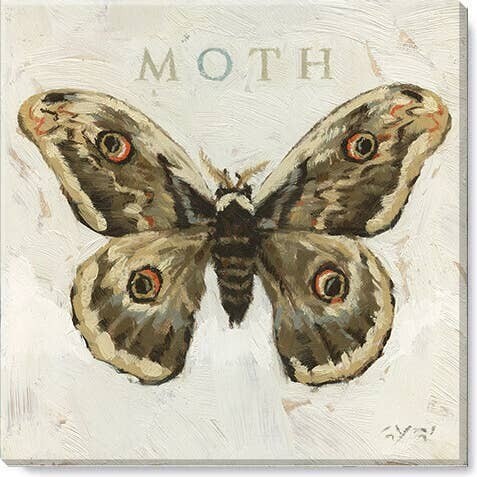 MOTH GICLEE WALL ART 9&quot;Lx9&quot;Wx1&quot;H