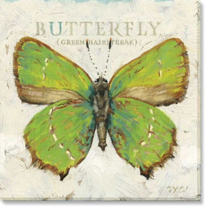 BUTTERFLY (GREEN HAIRSTREAK) 9&quot;Lx9&quot;Wx1&quot;H