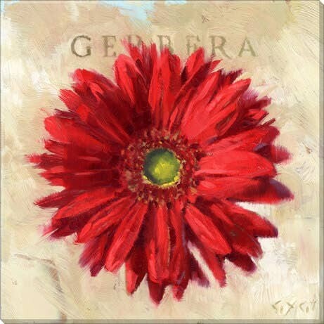 RED GERBERA GICLEE WALL ART 9&quot;L x 9&quot;W x 1&quot;H