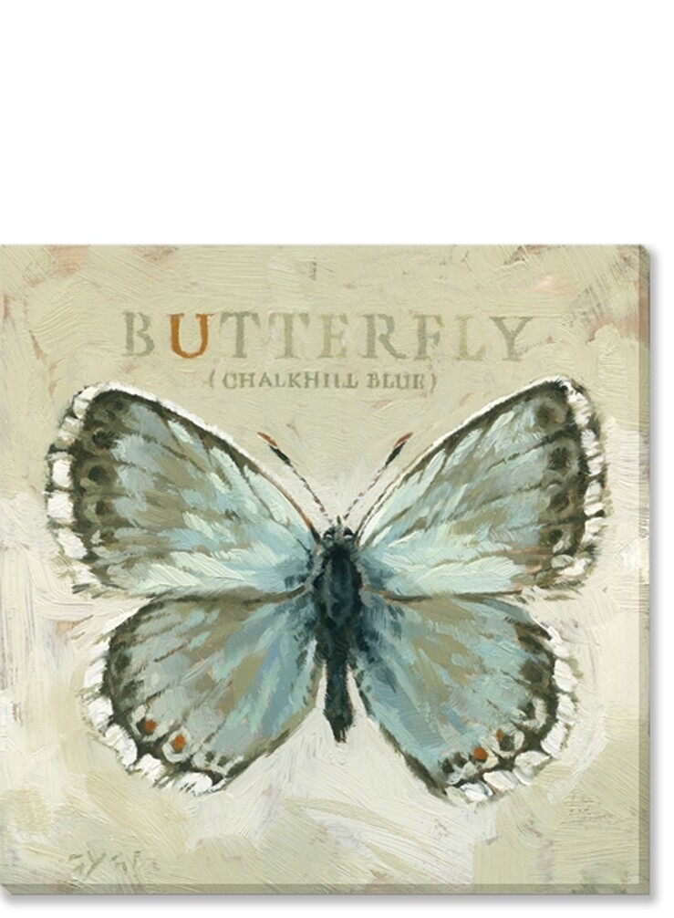 BUTTERFLY (CHALK HILL BLUE)  9&quot;L x 9&quot;W x 1&quot;H