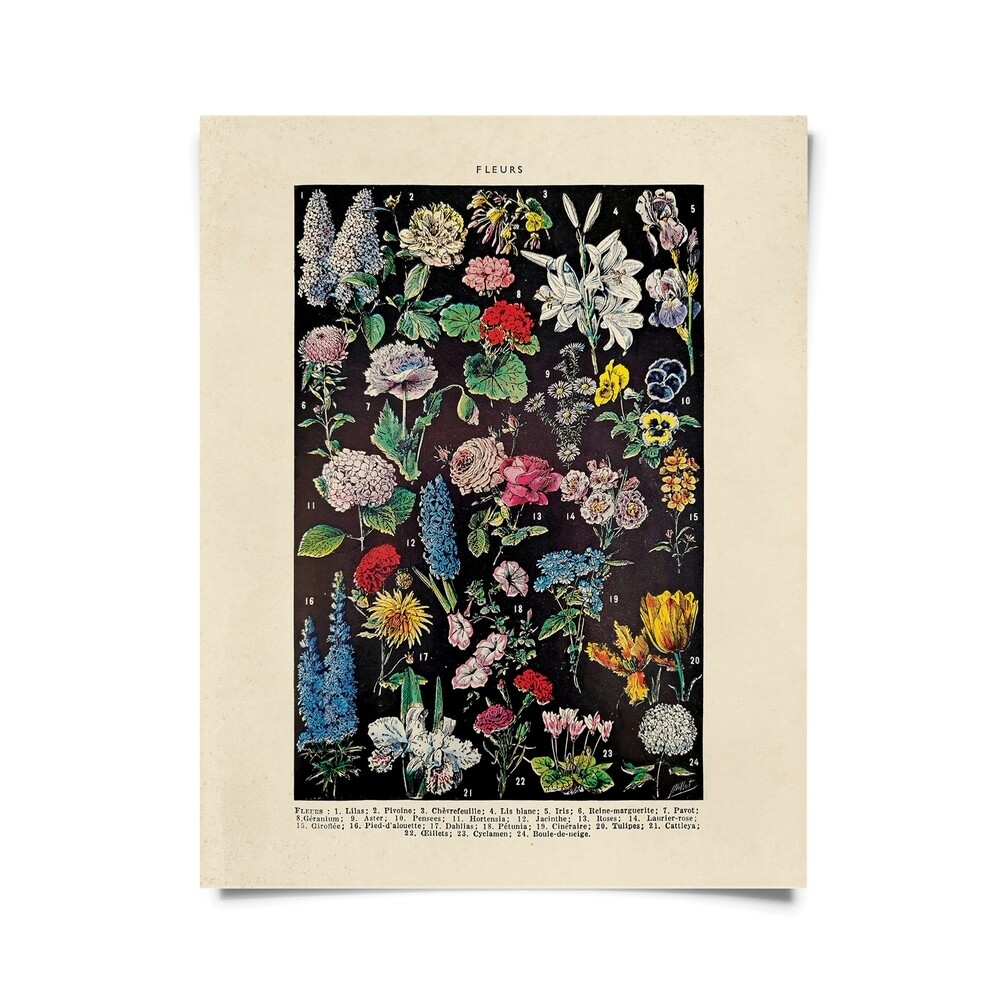 Vintage Botanical Fleurs 2 Garden Flower 16x20
