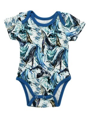 Organic Cotton Nautilus - 9-12M Short Sleeve Organic Cotton Nautilus - 9-12M Short Sleeve