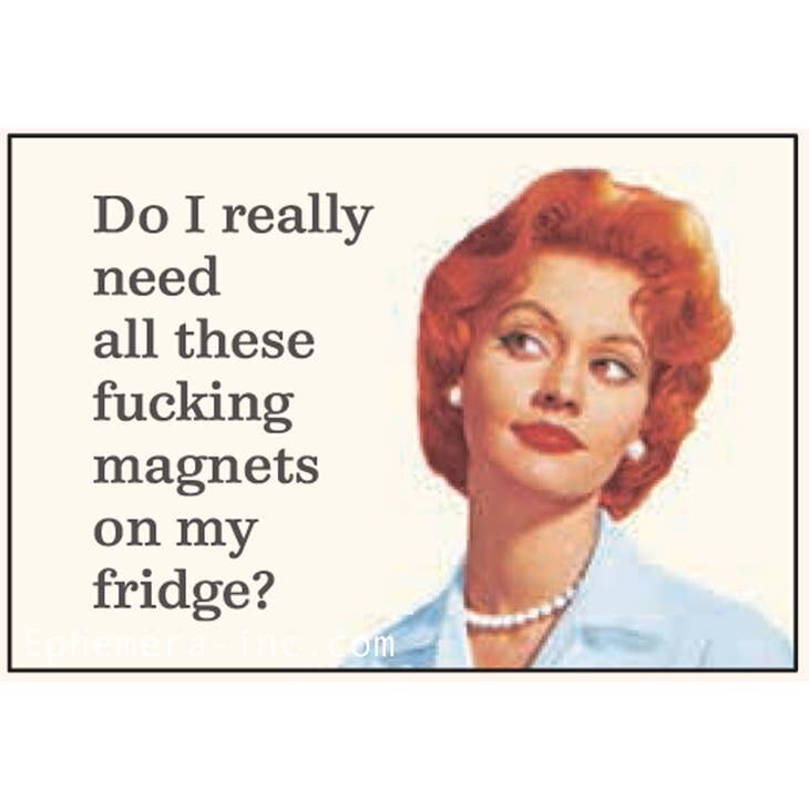 Do I really need all these fucking magnets... Do I really need all these fucking magnets...