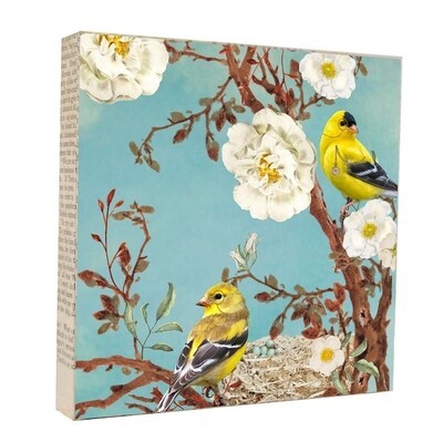 Pair of Finches 5x5 Art Block
