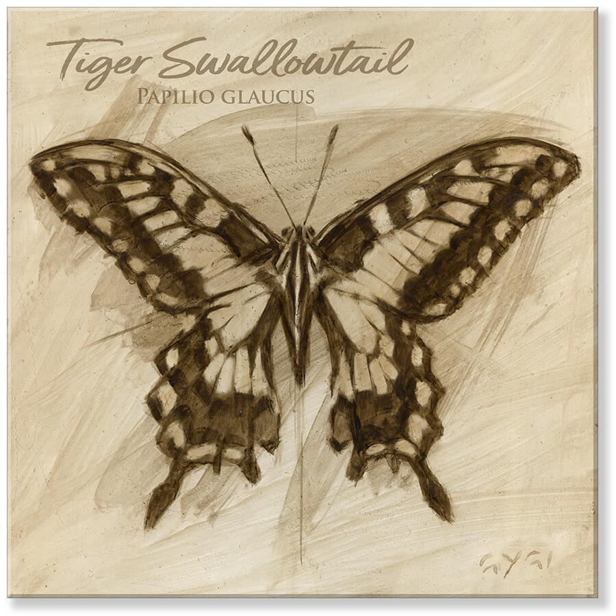 SEPIA TIGER SWALLOWTAIL GICLEE 9&quot;Lx9&quot;Wx1&quot;H