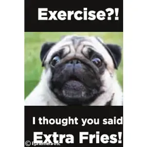 Exercise?! I Thought You Said Extra Files  Magnet