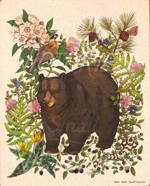 Forest Edge Print - Black Bear - 8x10