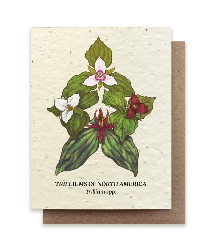 Trillium Compass Plantable Wildflower Seed Card - No Sleeves