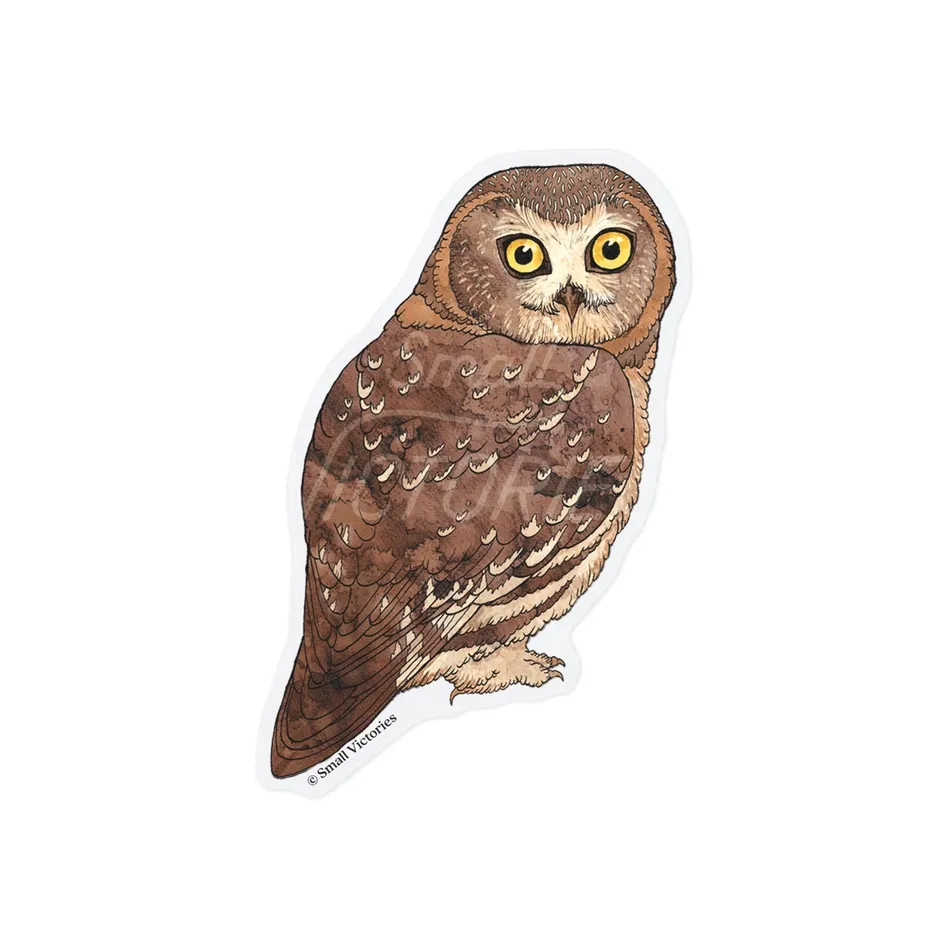 Eco-Sticker: Northern Saw-Whet Owl