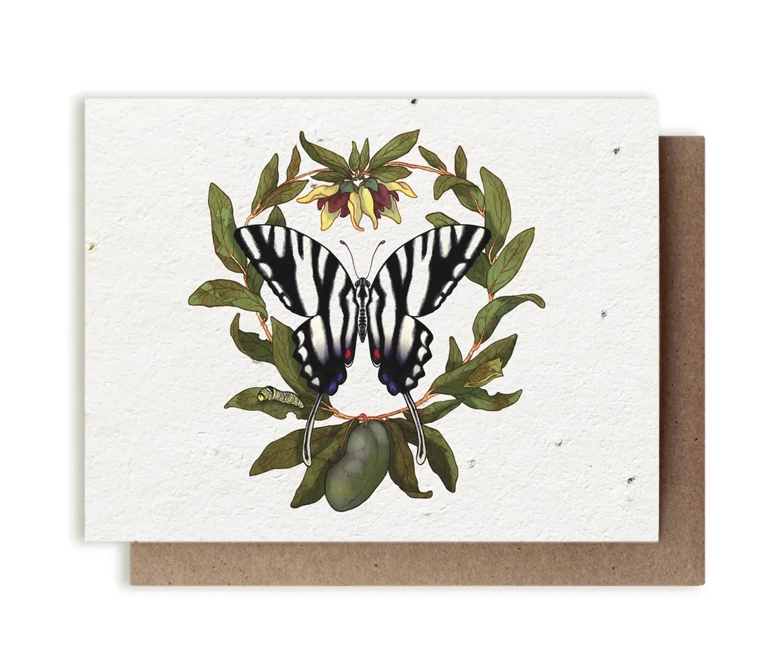 Zebra Swallowtail Butterfly &amp; PawPaw Plantable Herb Card - No Sleeves