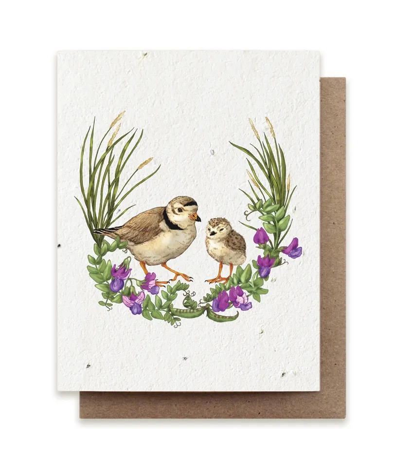 Summer Plovers Plantable Herb Seed Card - No Sleeves