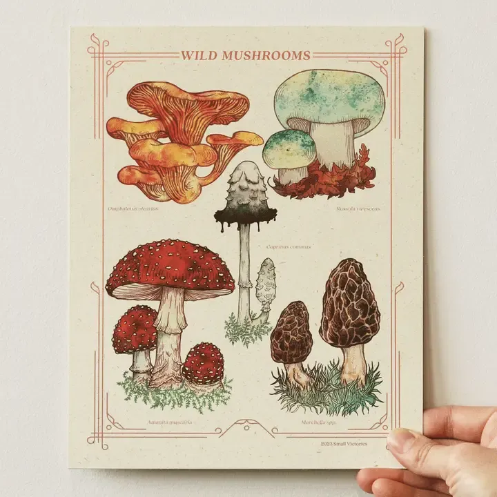 Wild Mushrooms Print