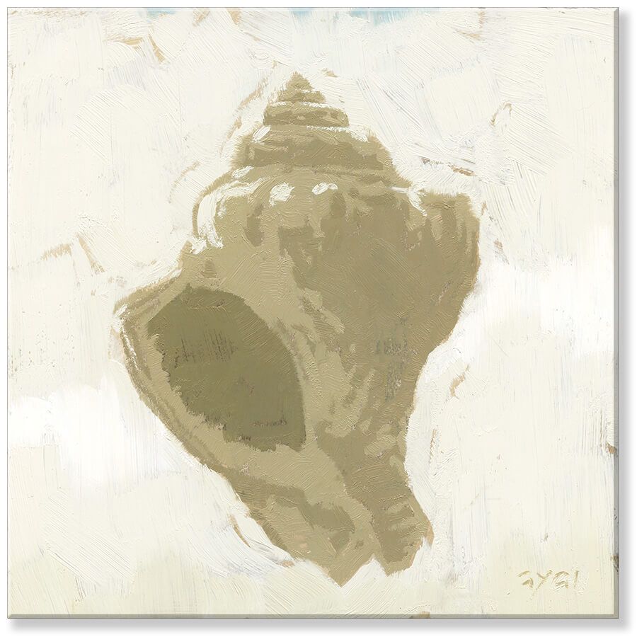 CONCH SILHOUETTE GICLEE 14&quot;Lx14&quot;Wx1&quot;H