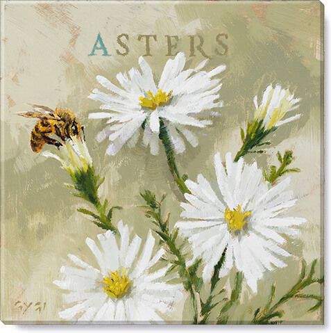 ASTER GICLEE WALL ART  9&quot;Lx9&quot;Wx1&quot;H