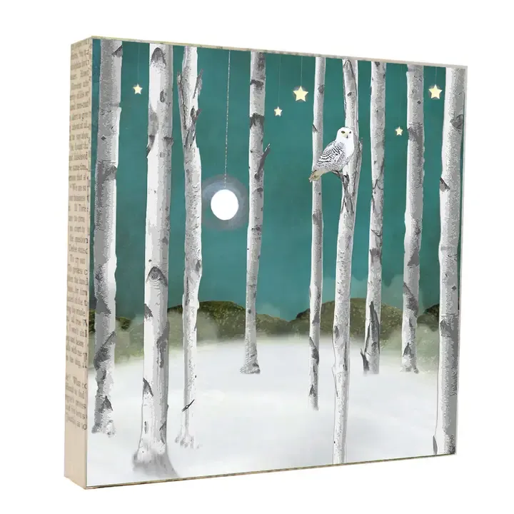Snow Owl 5x5 Art Block