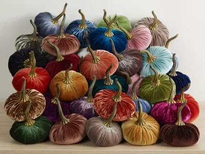 Pumpkin Large Velvet  Assorted Pumpkin Large Velvet  Assorted