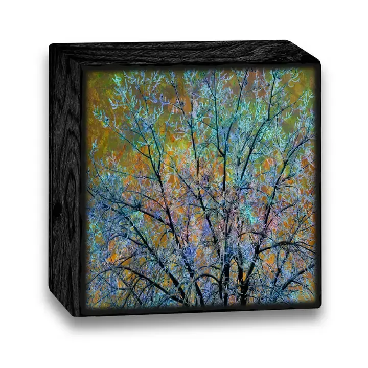 Art Blocks-ME22AB - 8x8 Art Blocks-ME22AB - 8x8