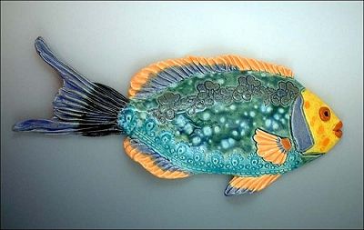 Queen Angel Tropical Queen Angel Tropical