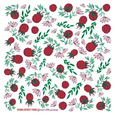 Raspberry Fruit Kitchen Towel