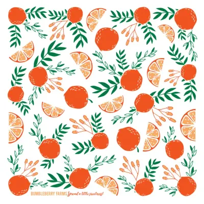 Orange Fruit Kitchen Towel