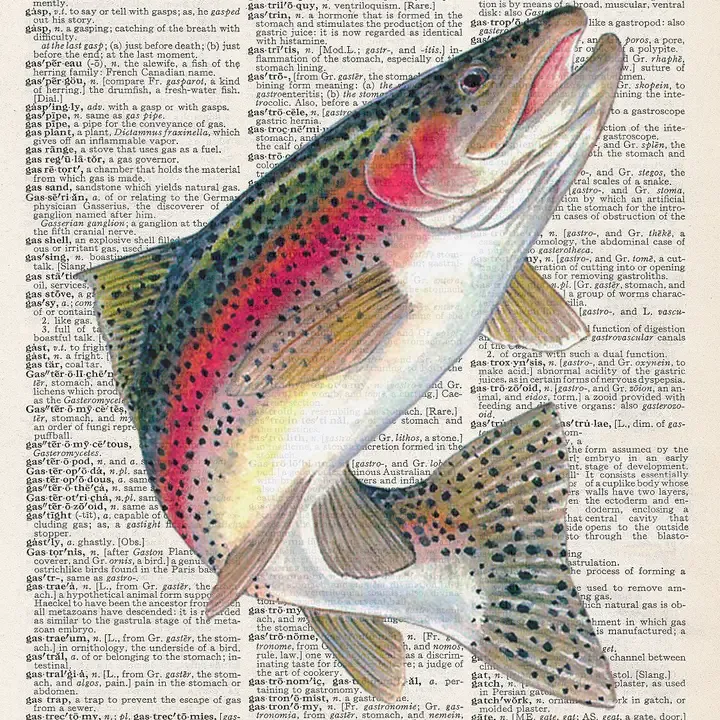 RAINBOW TROUT PRINT - Default Title