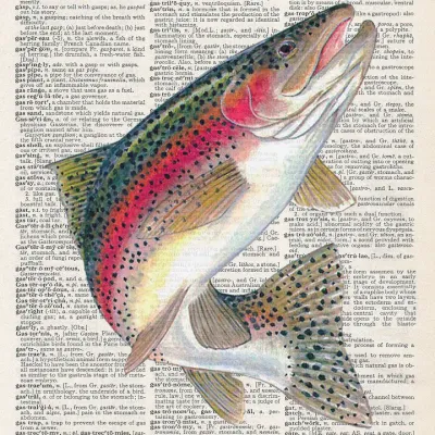 RAINBOW TROUT PRINT - Default Title