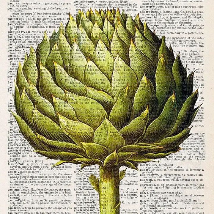 ARTICHOKE PRINT 