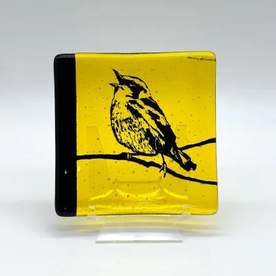 Birds | Warbler Fused Glass 4.5&quot; Catch-all Dish
