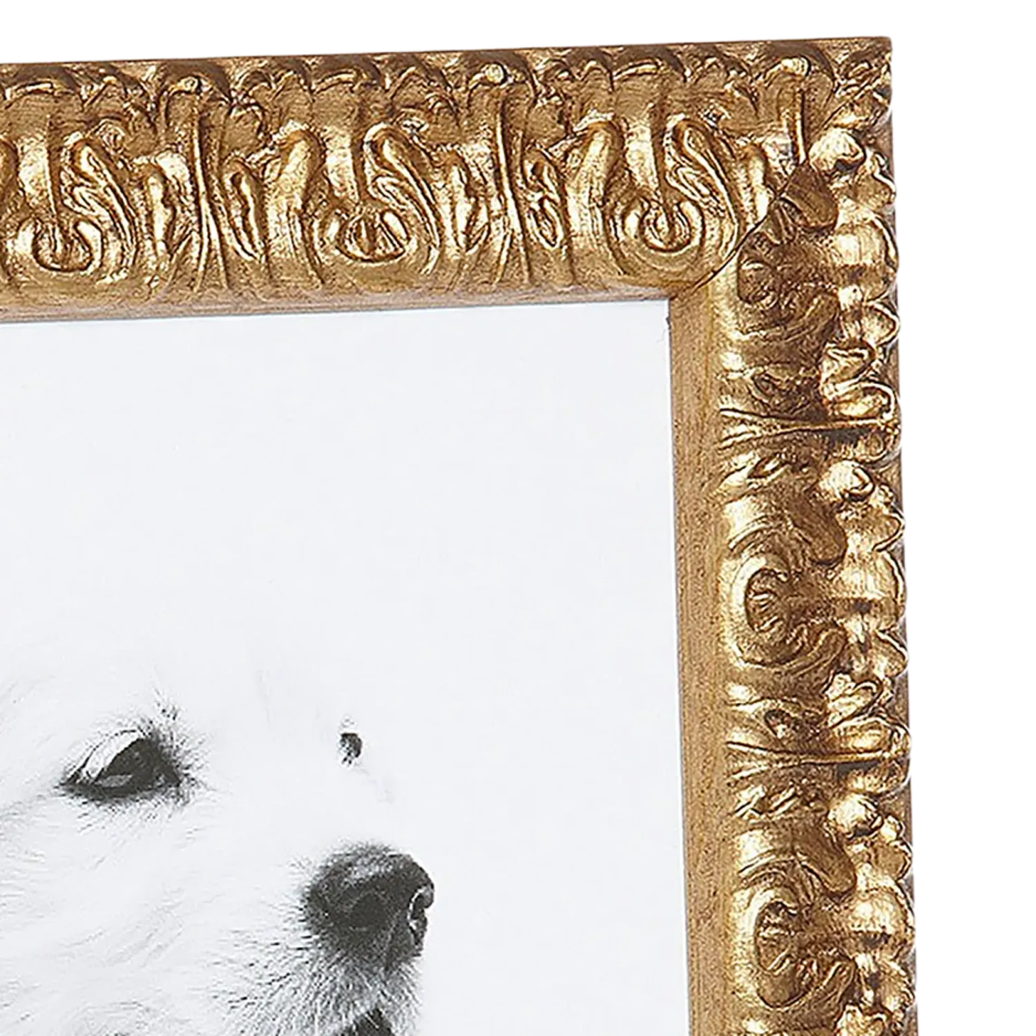 809055-810 8x10 PF, Ruvo,  1&quot; Gold