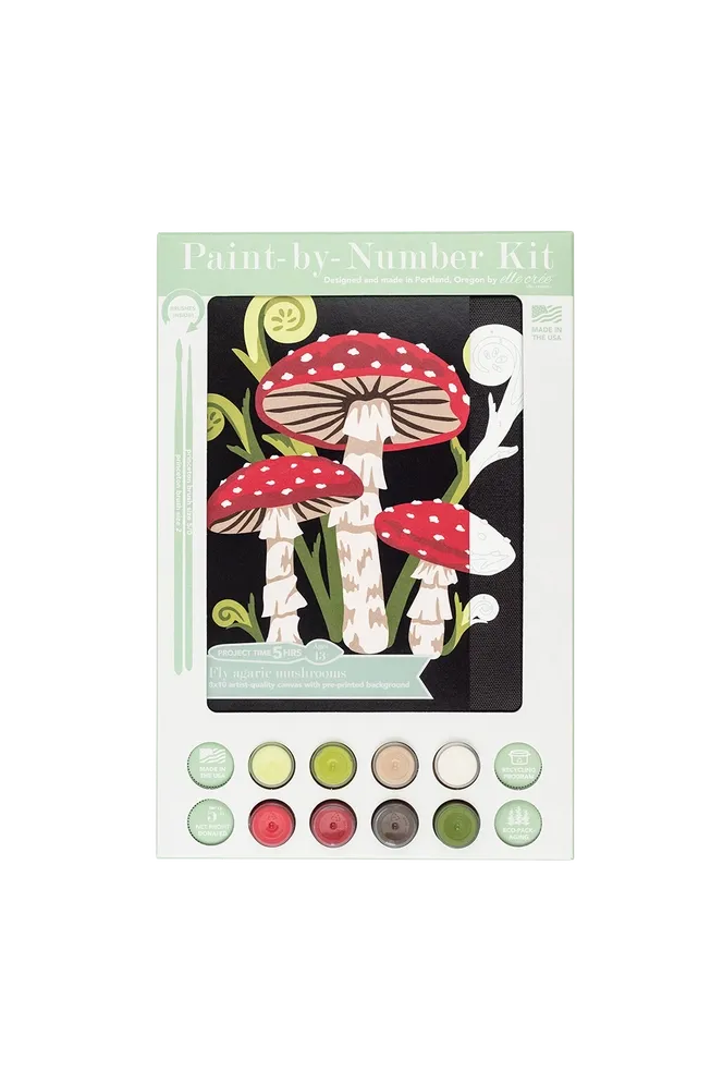 Fly Agaric Mushrooms Paint-by-Number Kit