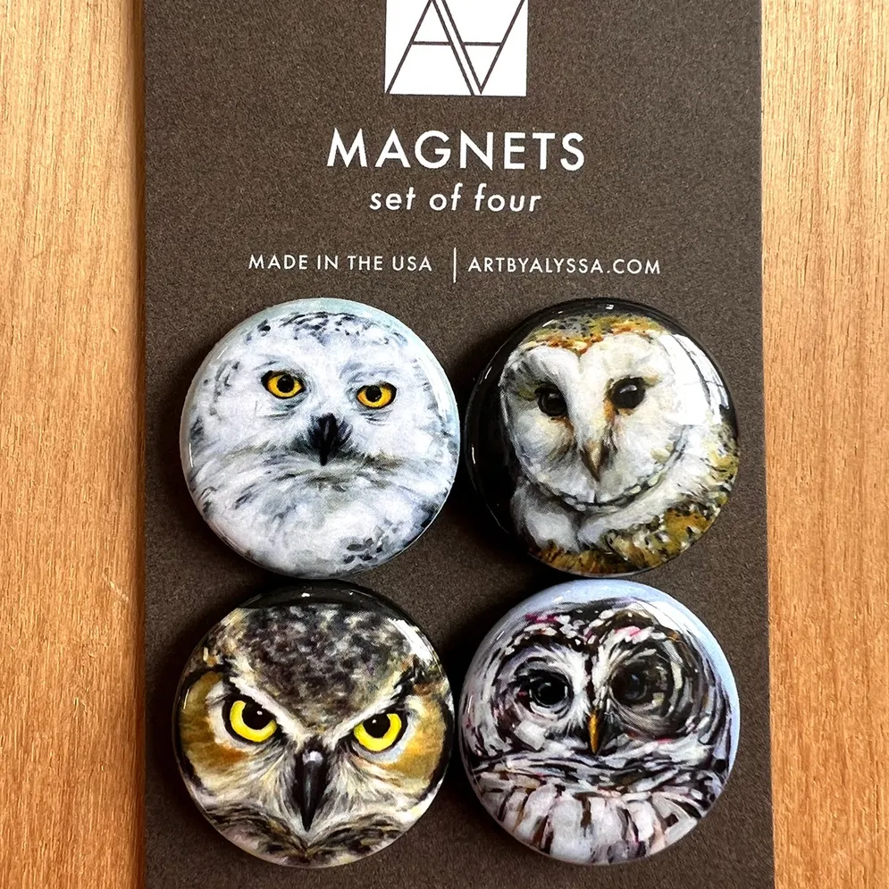 Owls Magnet Set Owls Magnet Set