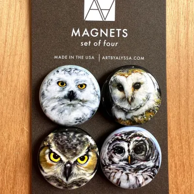 Owls Magnet Set Owls Magnet Set