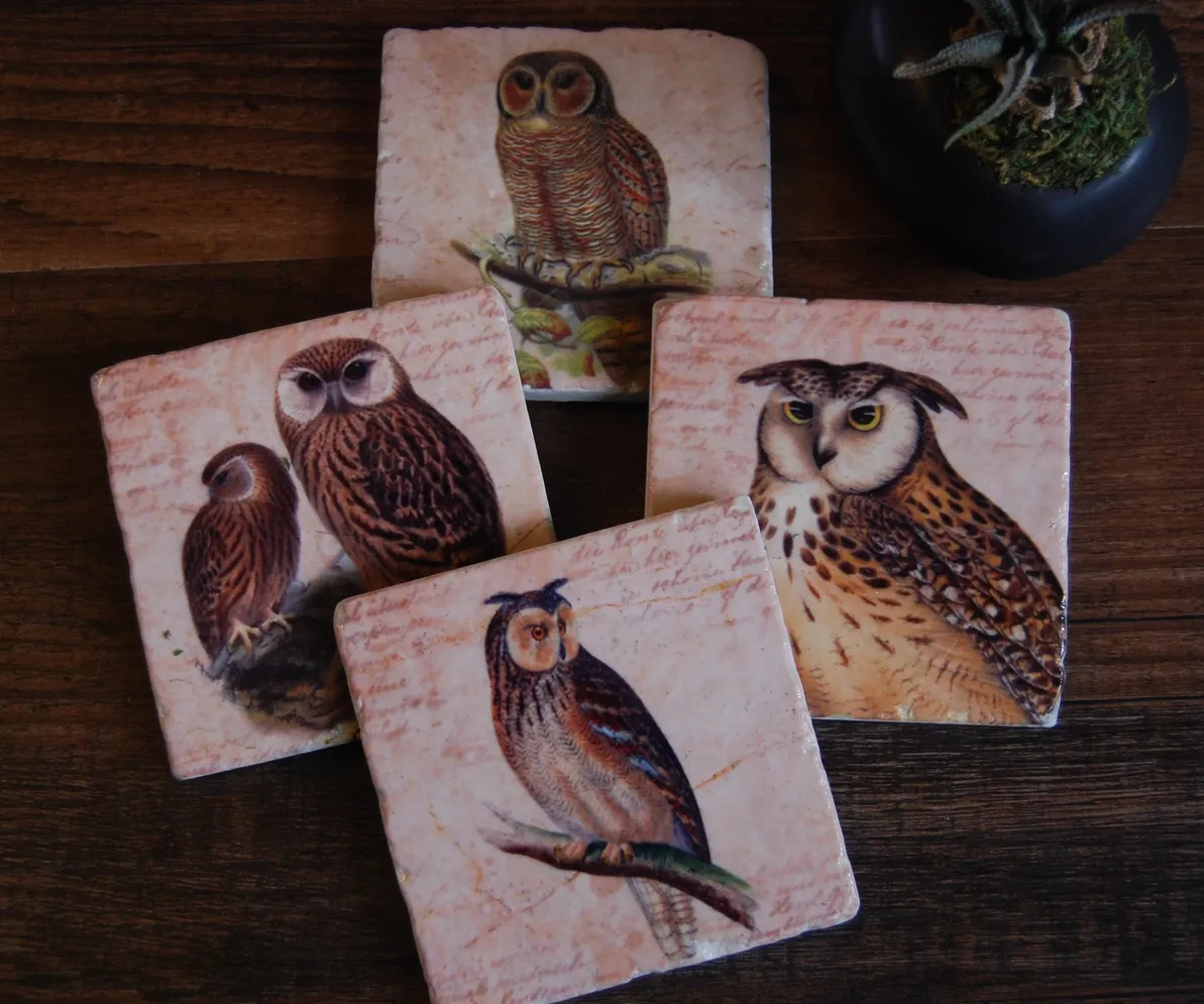 Keepers of the Forest stone coaster