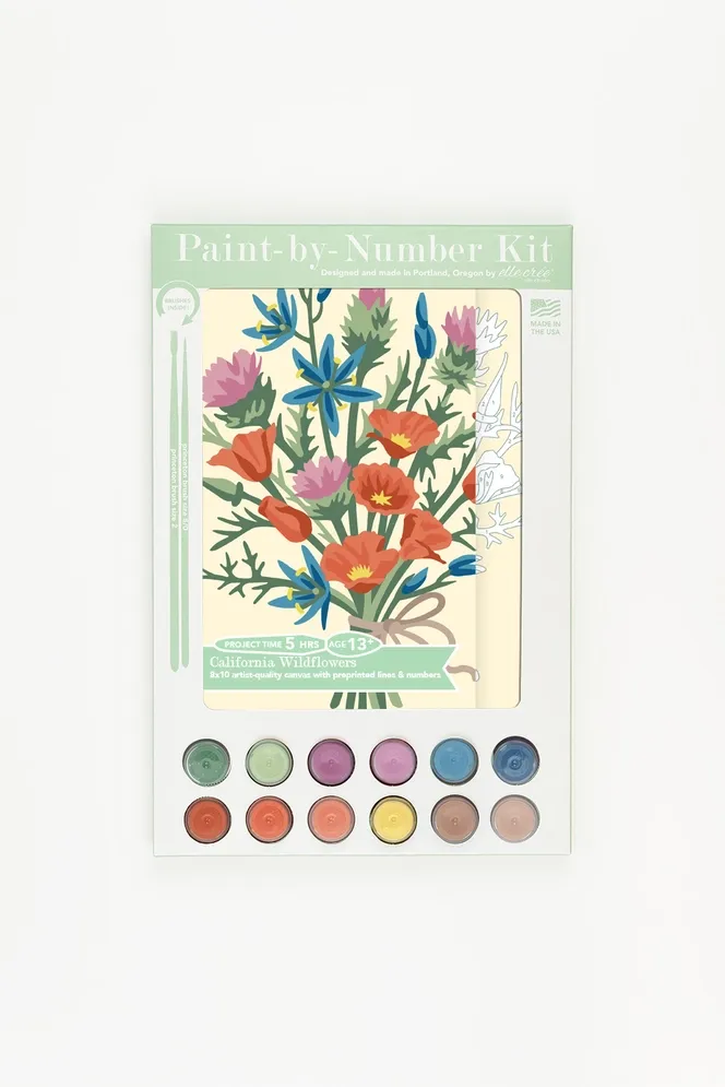 California Wildflowers Paint-by-Number Kit 
