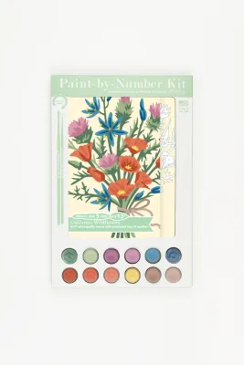 California Wildflowers Paint-by-Number Kit 