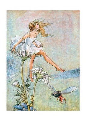 A Fairy Princess